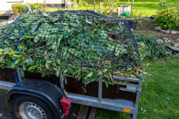 Best Hoarding Cleanup  in Coopersburg, PA